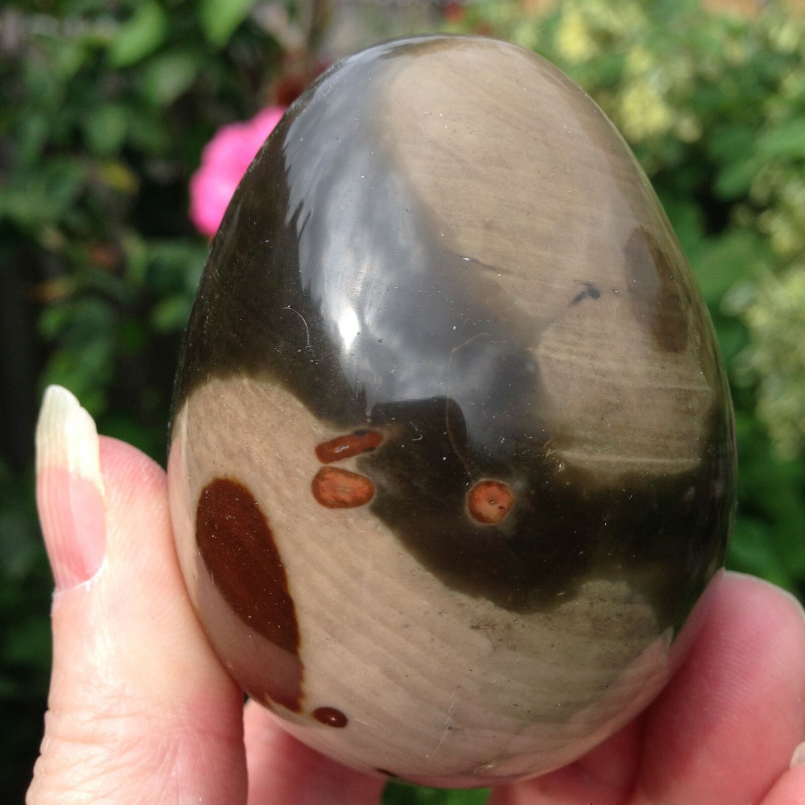 Polychrome Jasper Desert Crystal Egg Healing Scrying Balance 212g 6.6×4.98cm