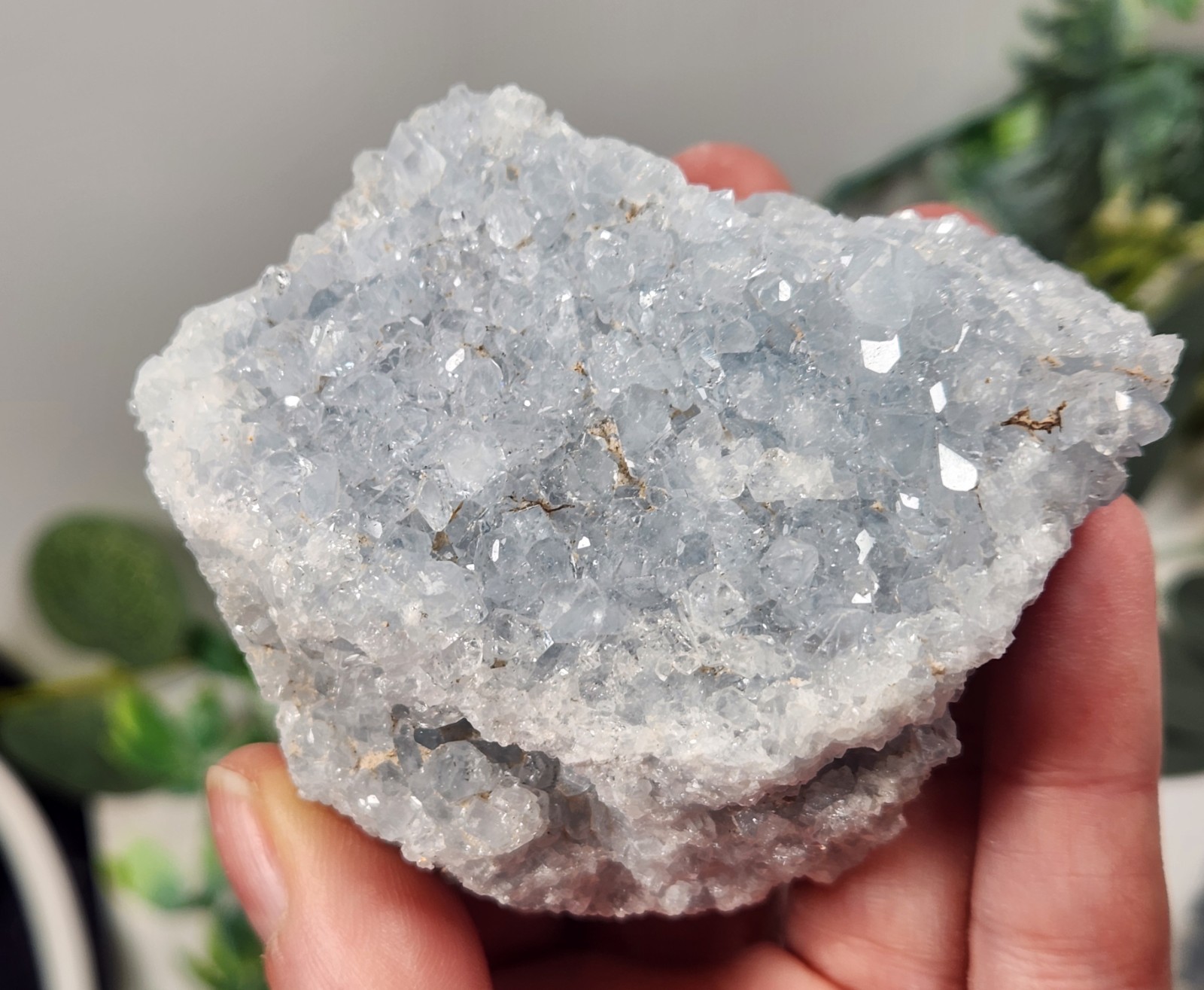 5pc Celestite 2 Ib Lot Crystal Clusters From Madagascar. Exact Specimens Cellot2