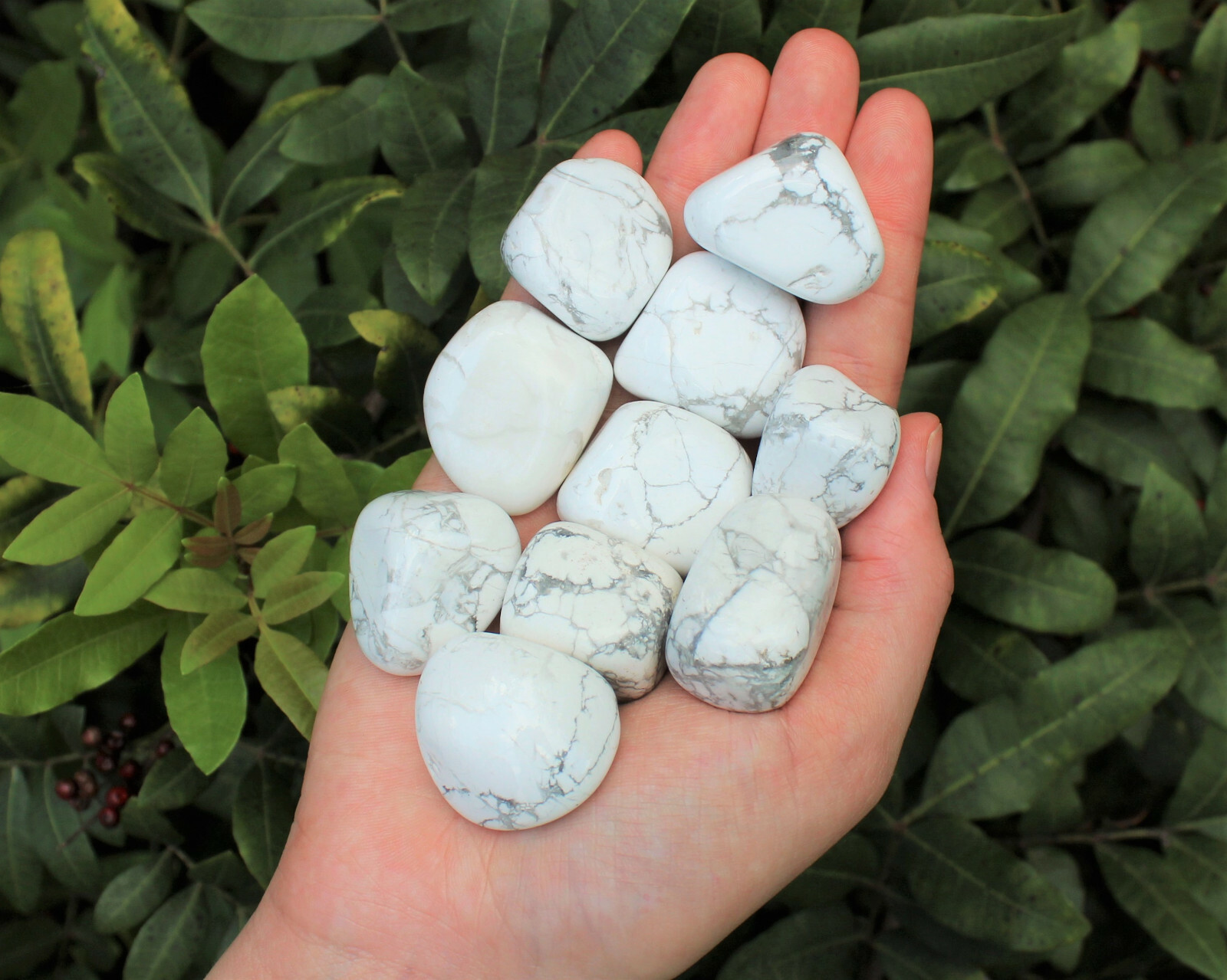 1 Large White Howlite Tumbled Stone (Crystal Healing Reiki Gemstone)