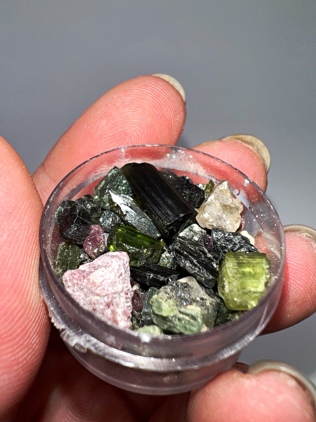 Mixed Natural Tourmaline Crystal Chips in Small Plastic Round Container