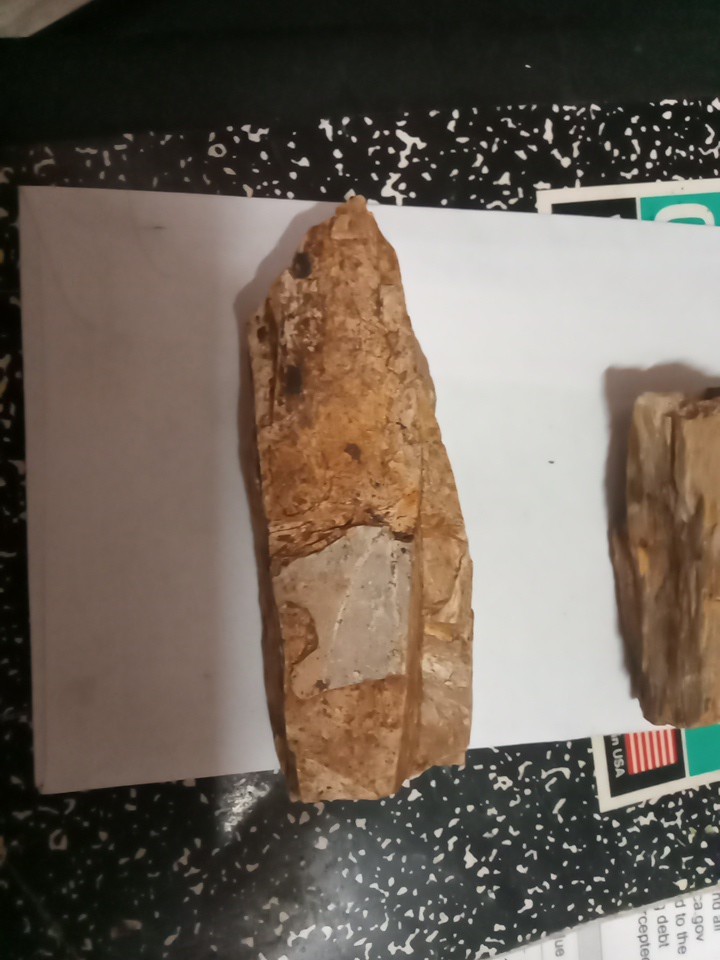 Lot Of Petrafied Wood 3 Piece Set Raw