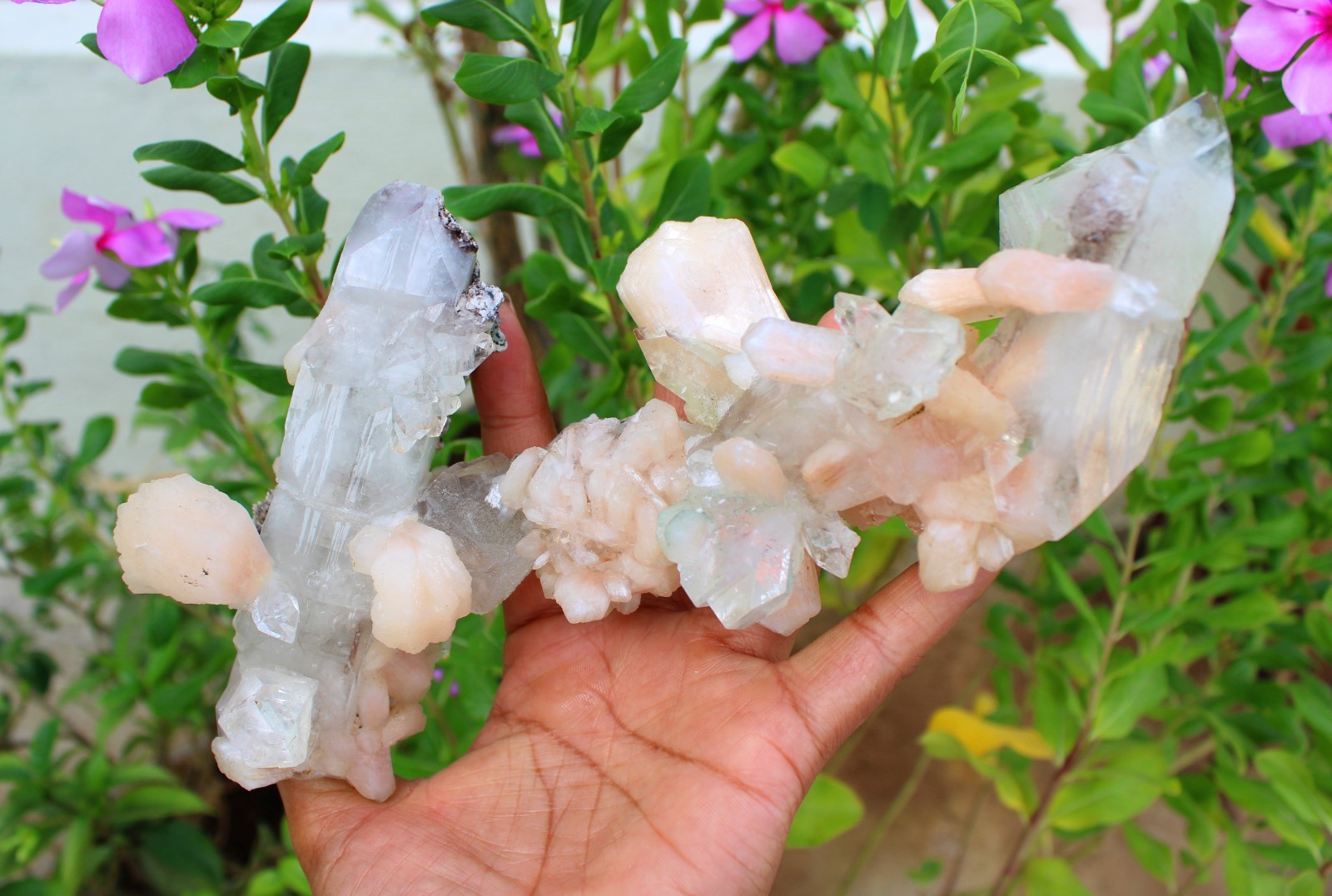 Apophyllite Crystals w/ Stilbite Formation Minerals Specimen ( 21×10 ) REPAIR
