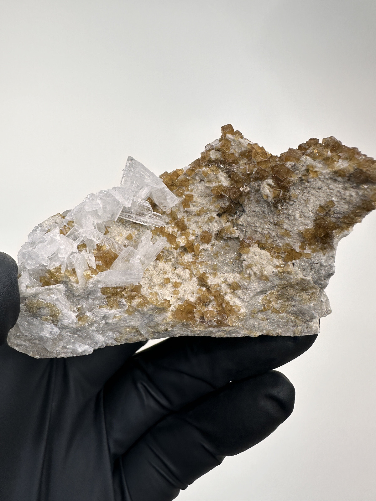 FLUORESCENT__Large Root beer Fluorite & Celestite Specimen / Clay Center Ohio