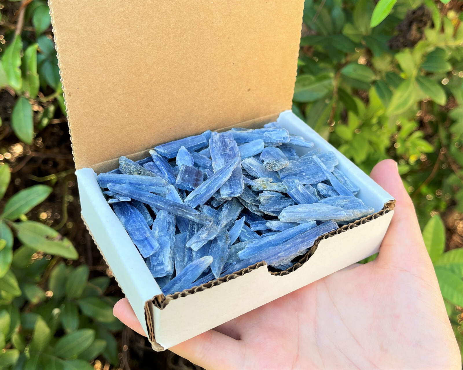 Blue Kyanite Blades Crystal Collection 1/2 lb Box Lot – Natural Kyanite Crystals