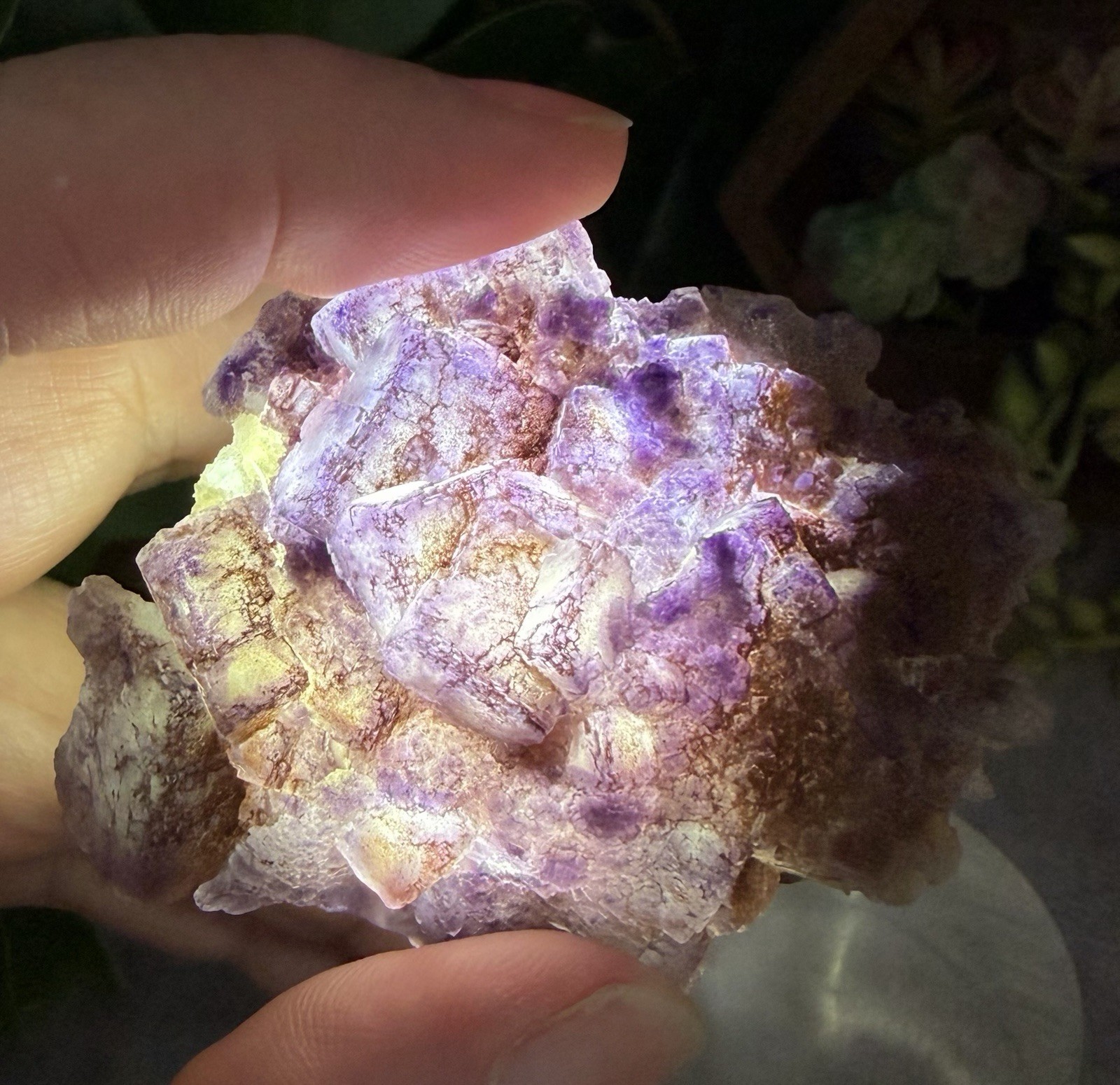 Crystal 58g Natural Coated Purple Window Cube Fluorite Specimen Mineral