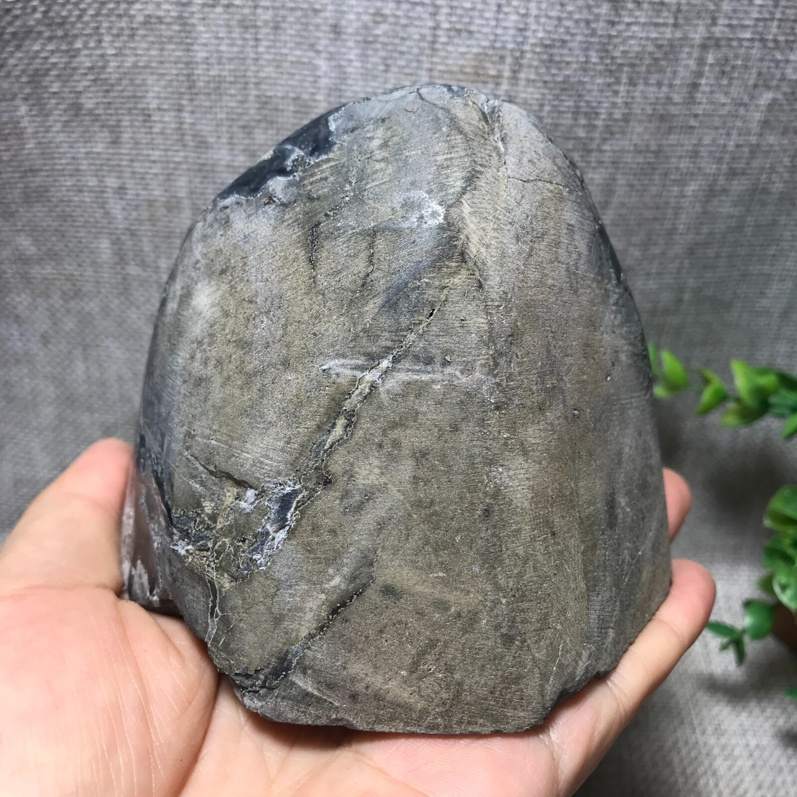 545g Natural Amethyst Cluster Geodes Cut Base Quartz Crystal Healing 69
