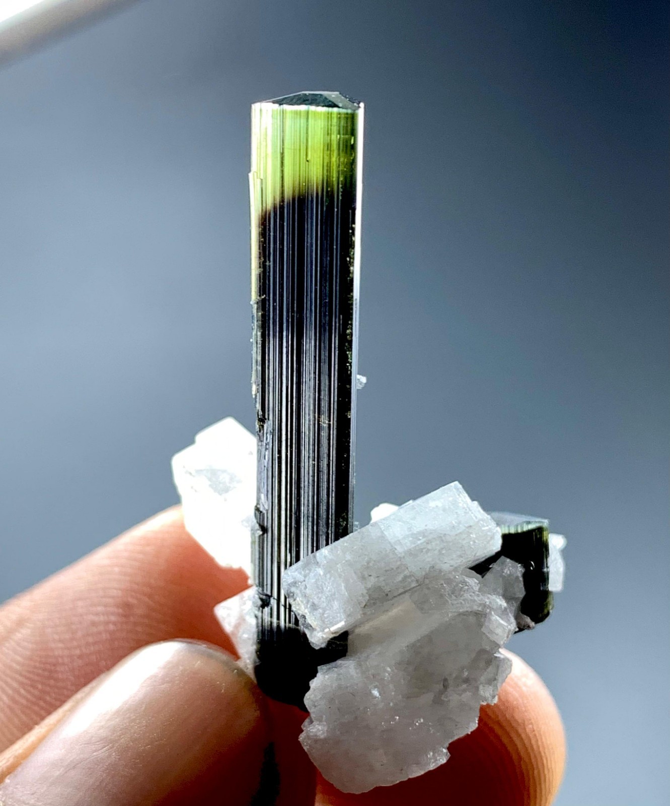 29Carat -Rare Natural Clear Green Cap Tourmaline – Pakistan Origin (35x17x17mm)