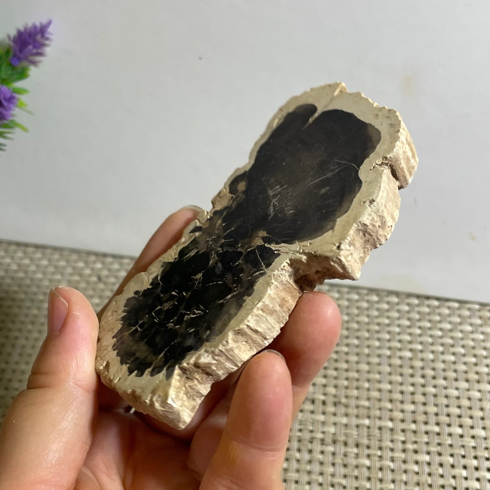 Natural Polished Petrified Wood Crystal Slice Madagascar 97g