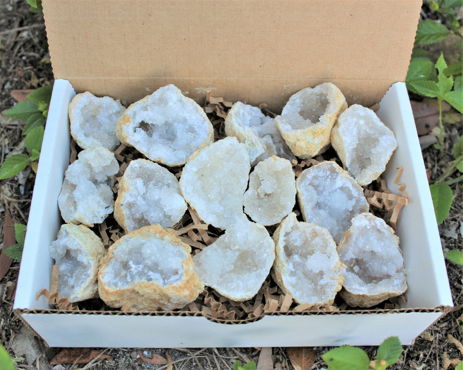 Break Your Own Geodes Gift Box (8 – 12 pcs) Large Unopened Moroccan Crystals