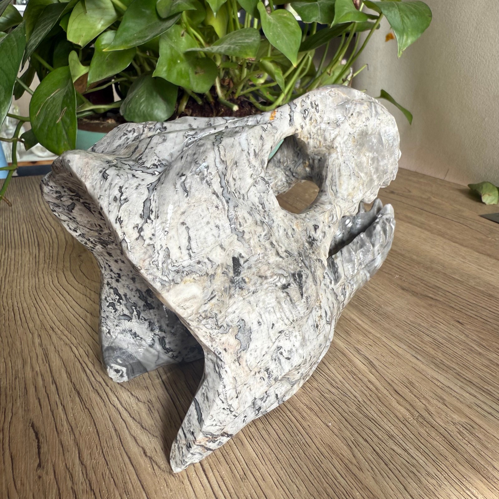 3LB natural Zebra stone Dinosaur skull carved Quartz Crystal reiki Gift