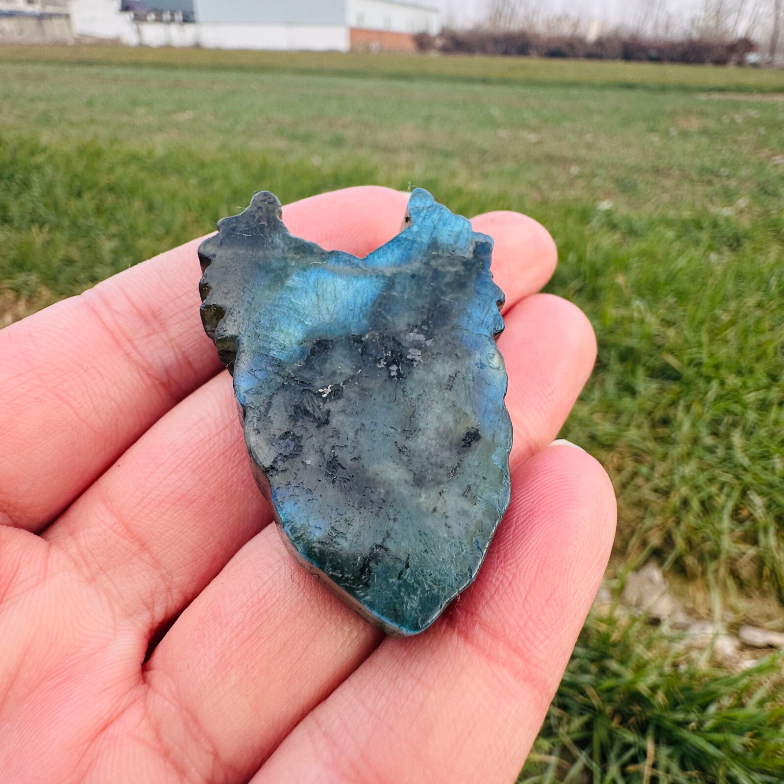 Natural Labradorite Carved Wing Quartz Skull Crystal Specimen Reiki Healing 1PC