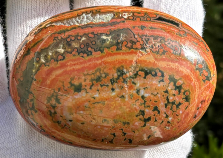 USA SALE 177g LOT OCEAN JASPER OJ PALMSTONES PALM STONE STONES PALMSTONE VIBRANT