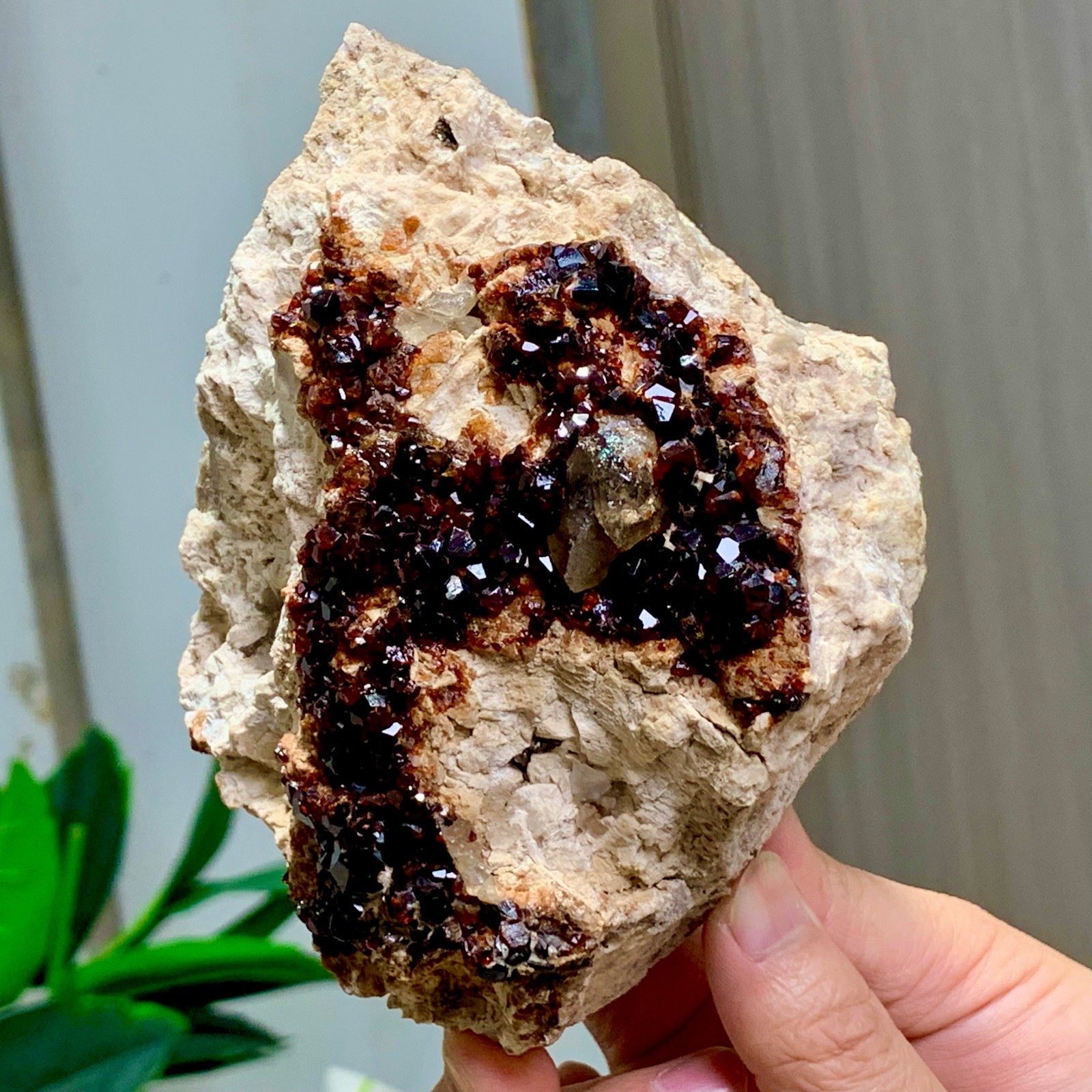 1.92LB Natural Garnet with smokey quartz cluster Crystal Mineral Specimen