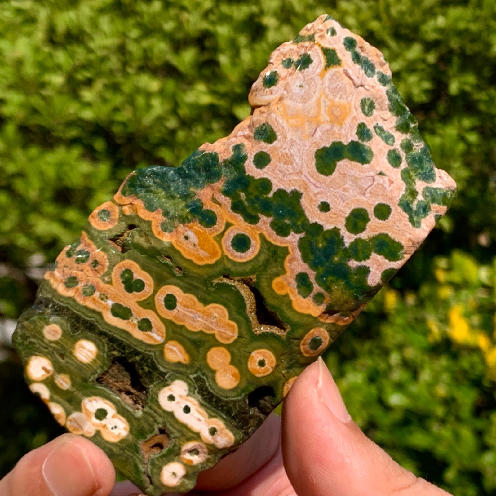 82G Natural Ocean Jasper Crystal SliceLarge Specimen Healing- Museum