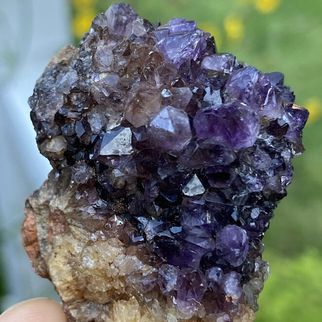 Rare XTRA DARK PURPLE AMETHYST SPIRIT QUARTZ Fairy Cactus Crystal Cluster 1.8″