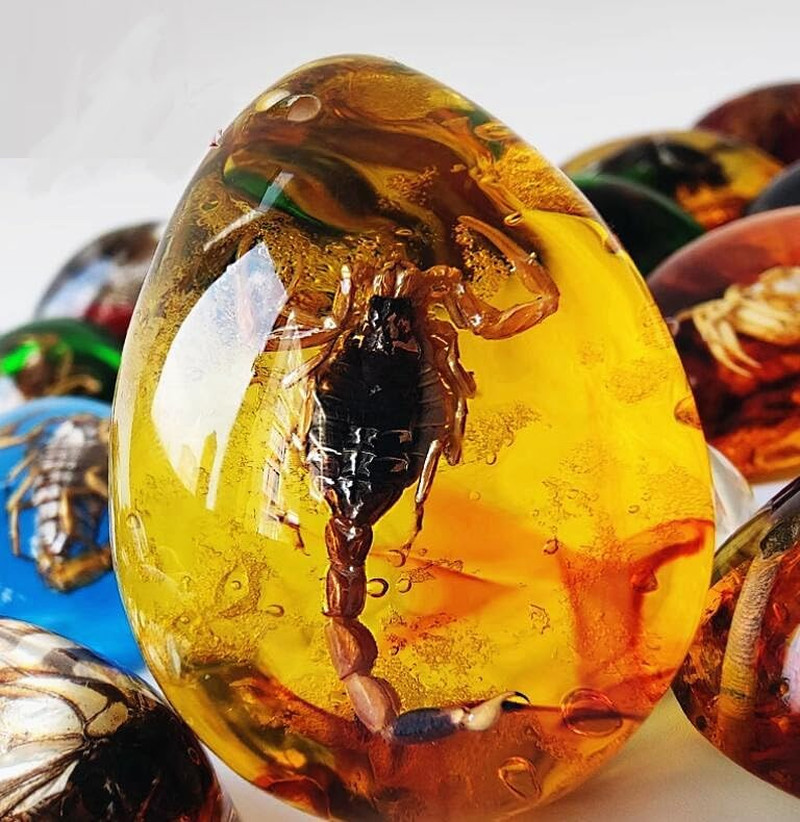 Resin Amber Insect Pendant Scorpion Fossil Stone Crystal Home