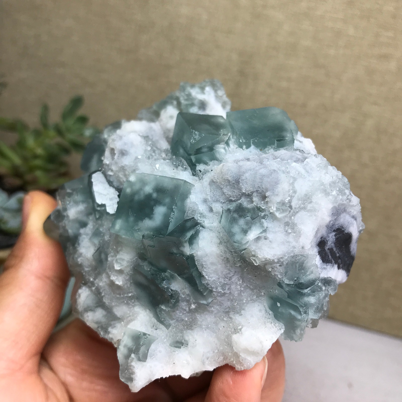 271g NATURAL Green Cubic FLUORITE paragenesis Crystal Cluster Specimen A4776