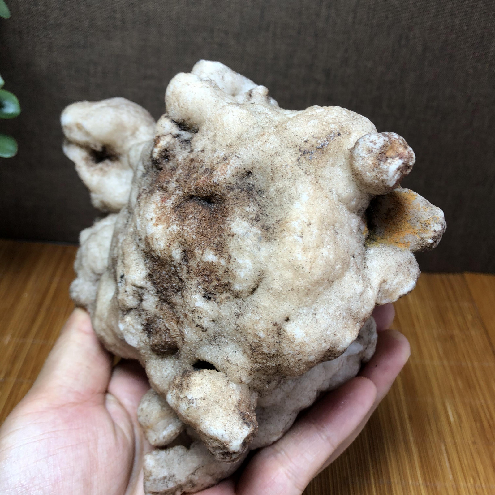 988g Rare Natural rough Agate original pretty Stunning Viewing 130mm A2728