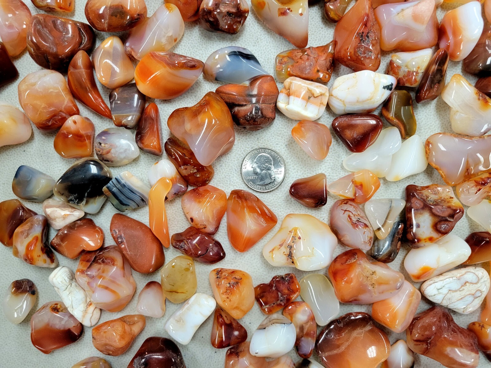 Tumbled Carnelian Crystal Stones from Madagascar Bulk Natural Gemstones
