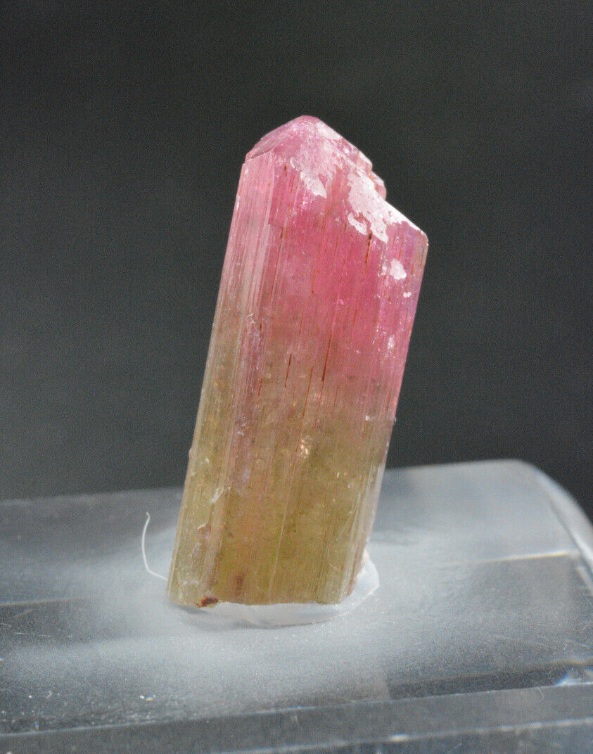 Liddicoatite Tourmaline Crystal, Sahatany Valley, Madagascar 26 mm