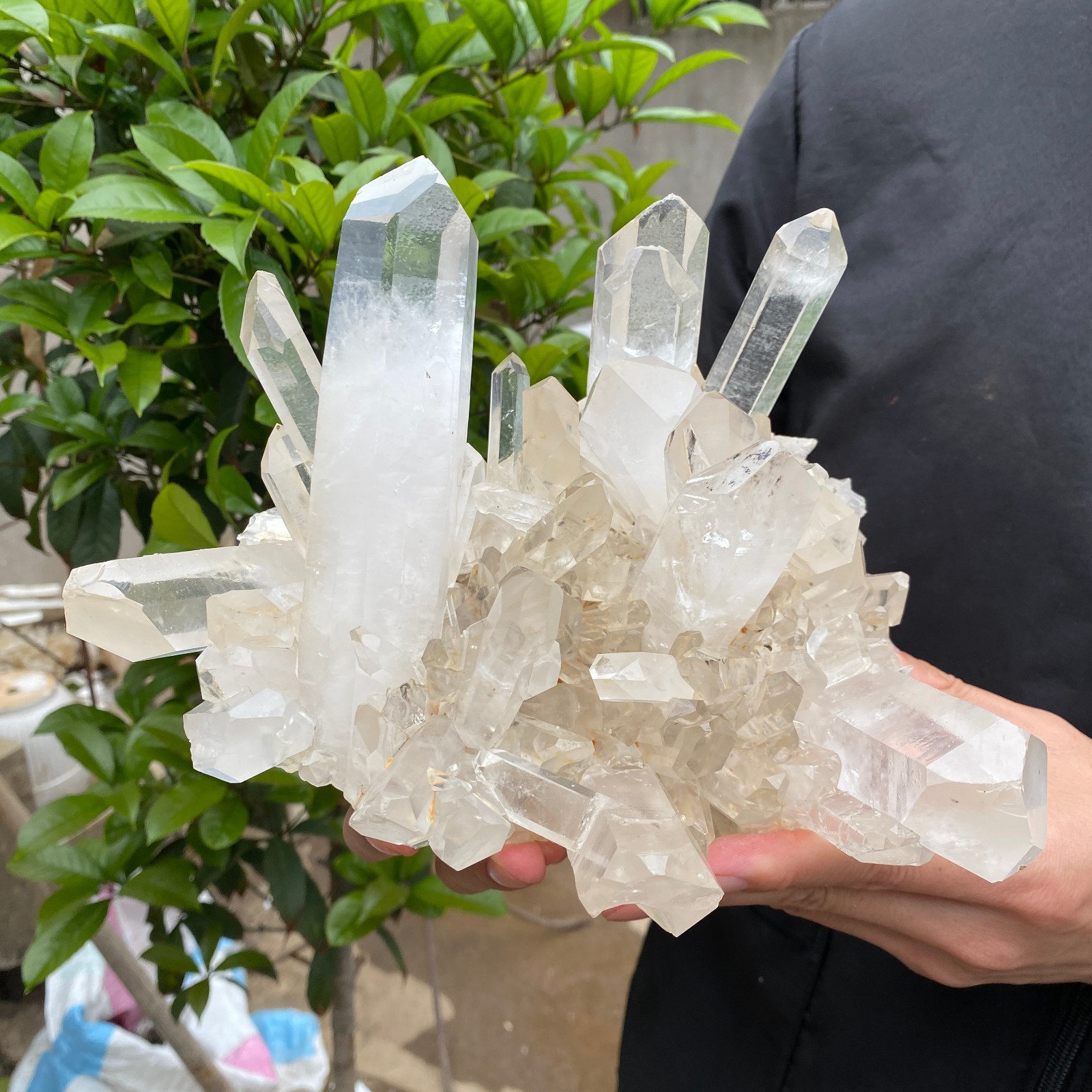 7.4lb Natural Clear White Quartz Crystal Cluster Rough Healing Specimen