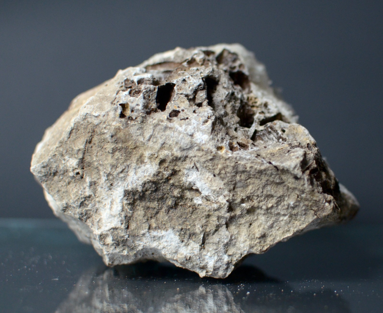 Fluorescent Aragonite Needle Spray in Fossil Matrix | Crystal River, Florida