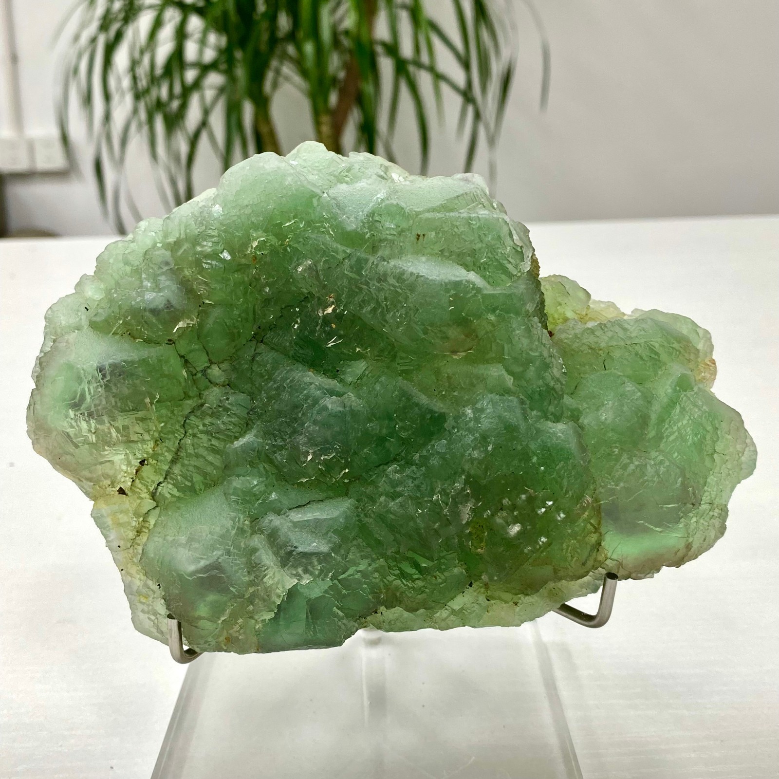 3.64LB Natural transparent green cubic fluorite mineral crystal sample/China