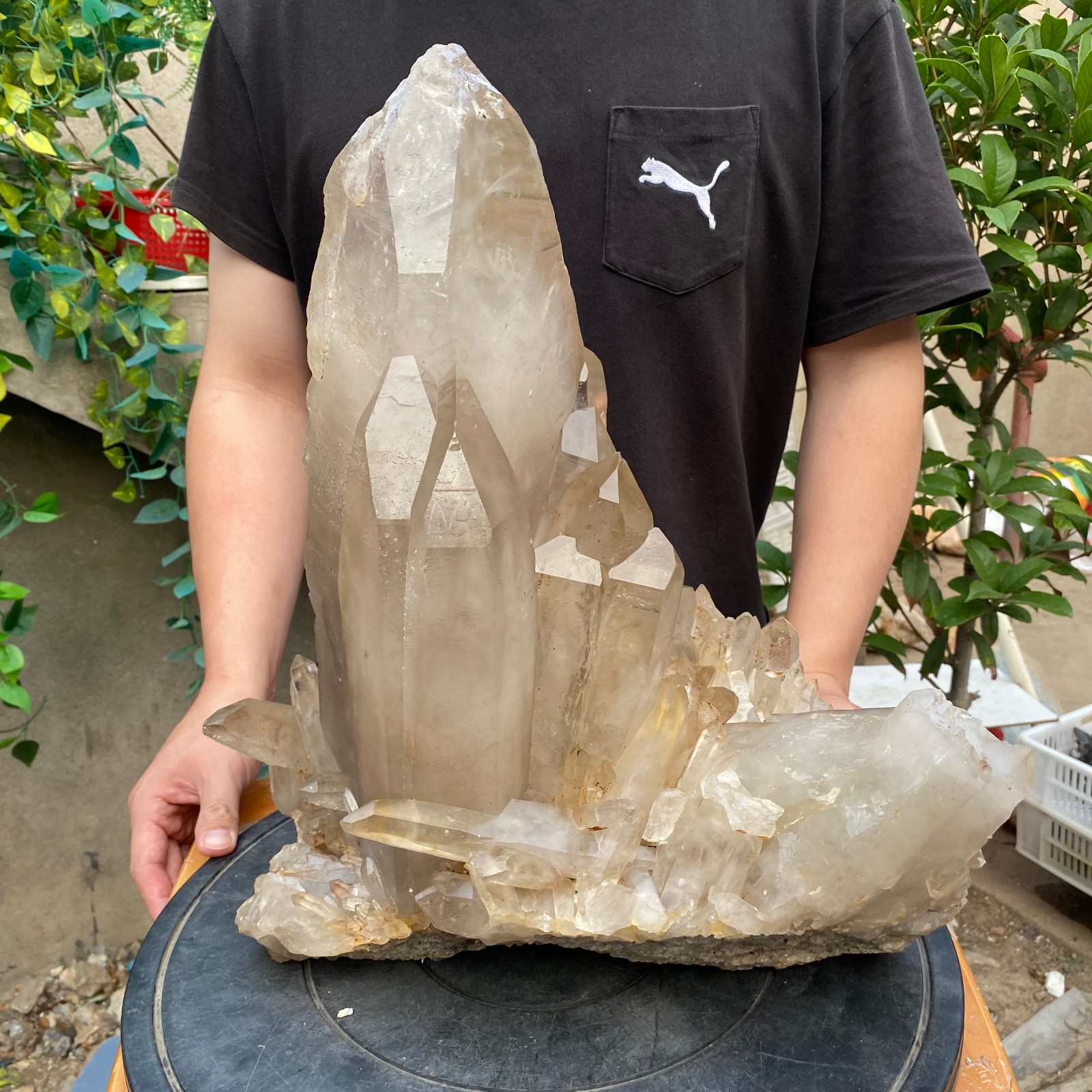 23900G A+Large Natural clear white Crystal Himalayan quartz cluster /mineralsls