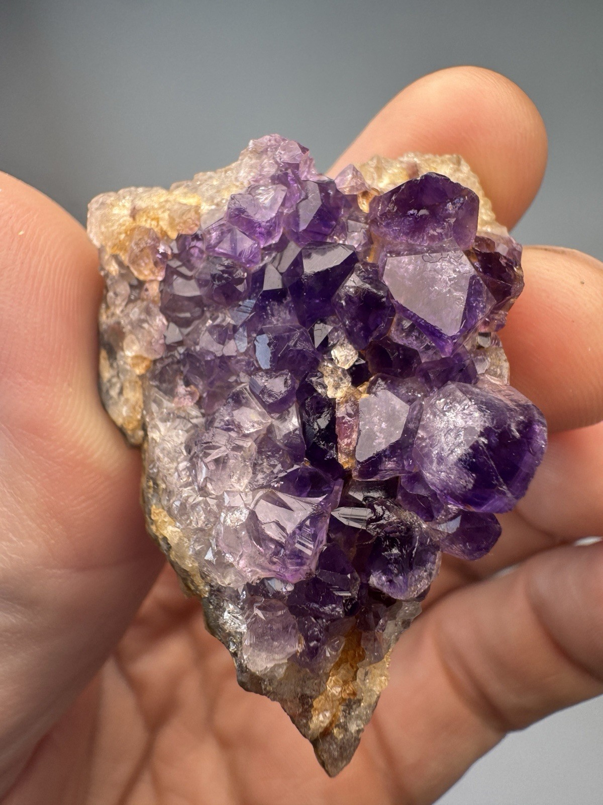 Druzy Deep Royal Purple Amethyst Collector 5 Piece Cluster Set From Brazil