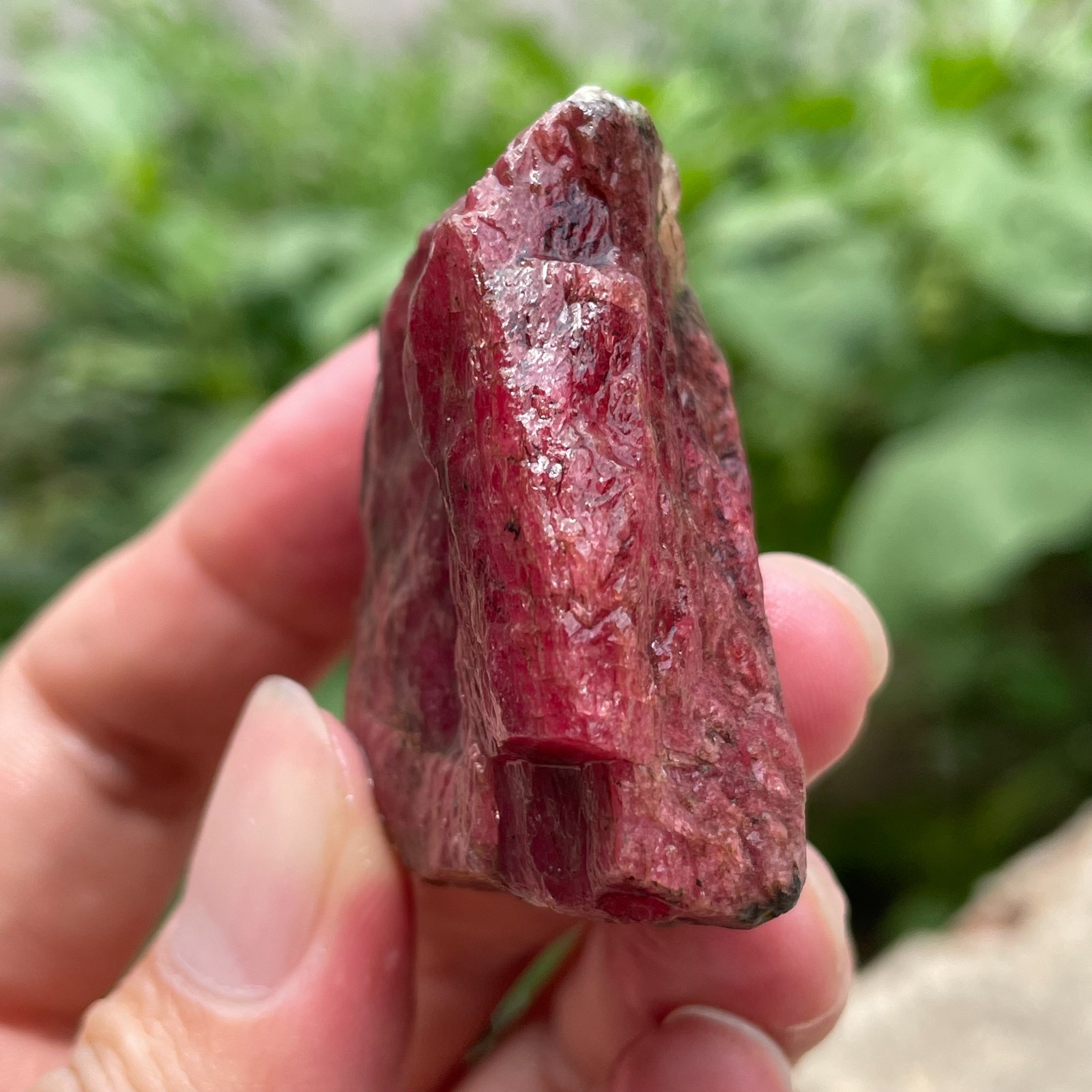 98g Small Raw Ore Red Black Rhodonite Quartz Gemstone Mineral Specimen