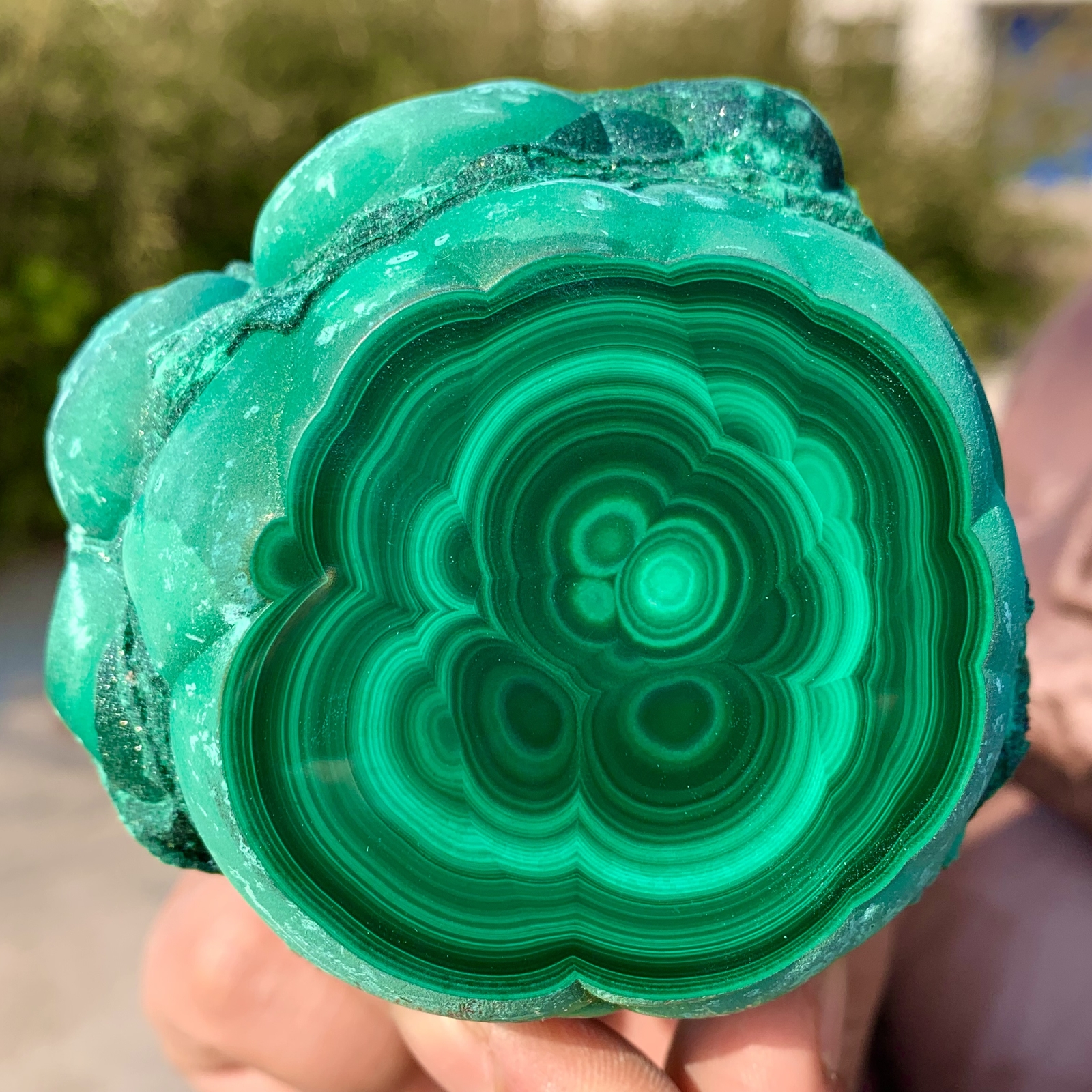 1.39LB Natural glossy Malachite transparent cluster rough mineral sample
