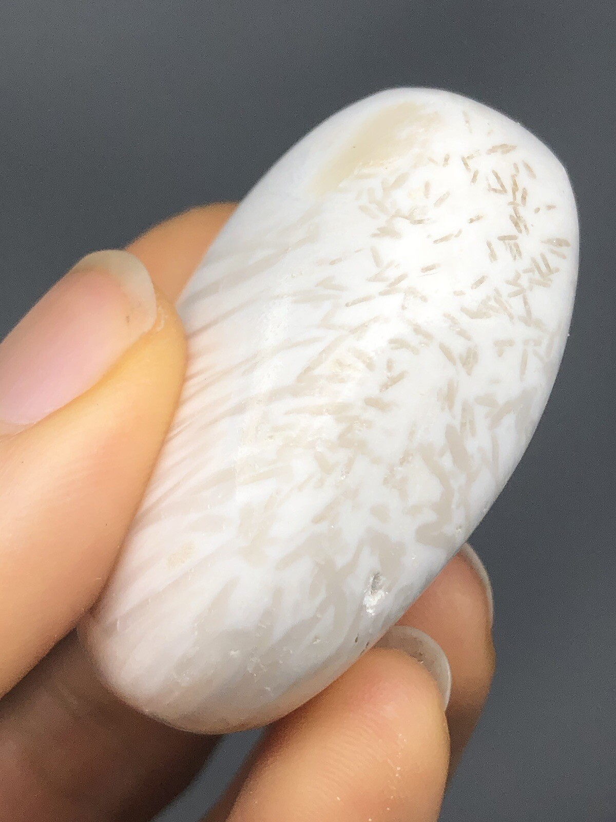Scolecite Palm Stone 1.6oz! Polish Synergy 12 High Vibrations. Healing N30
