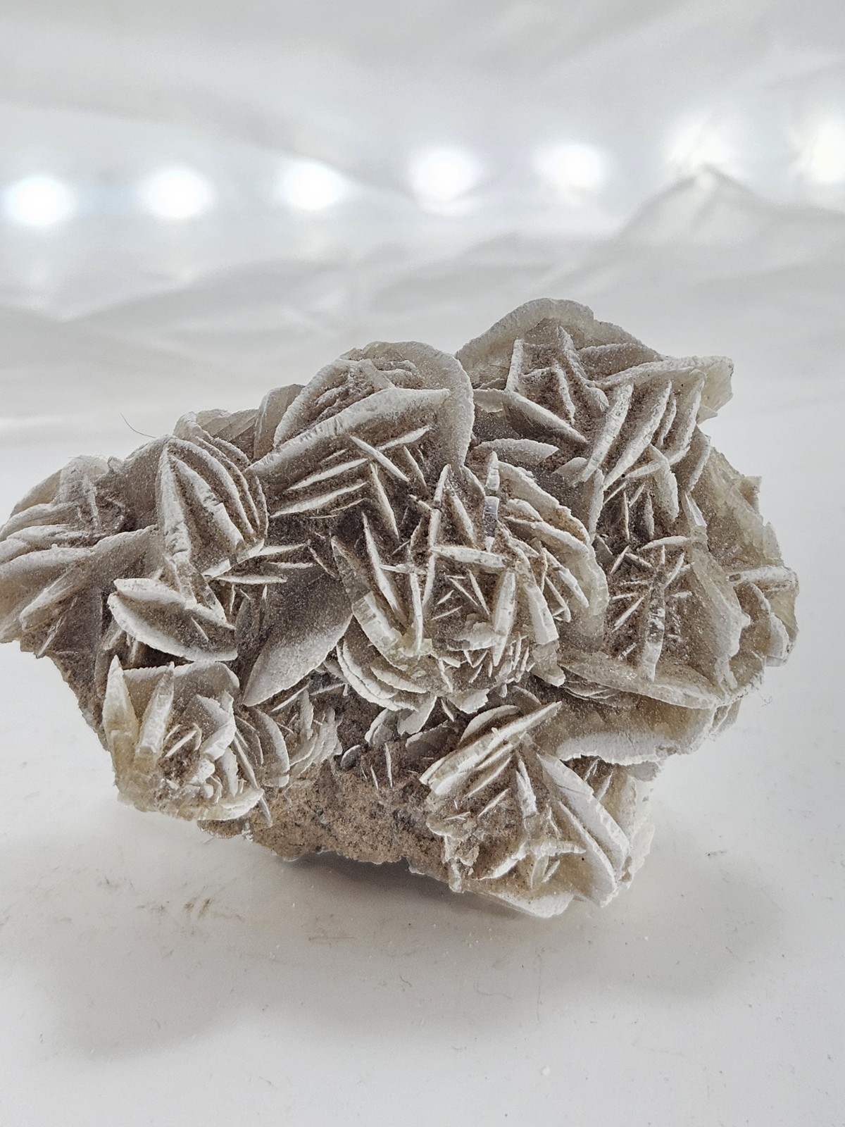 Natural Desert Rose Selenite Cluster – Mexico – Bladed Gypsum Crystal Specimen