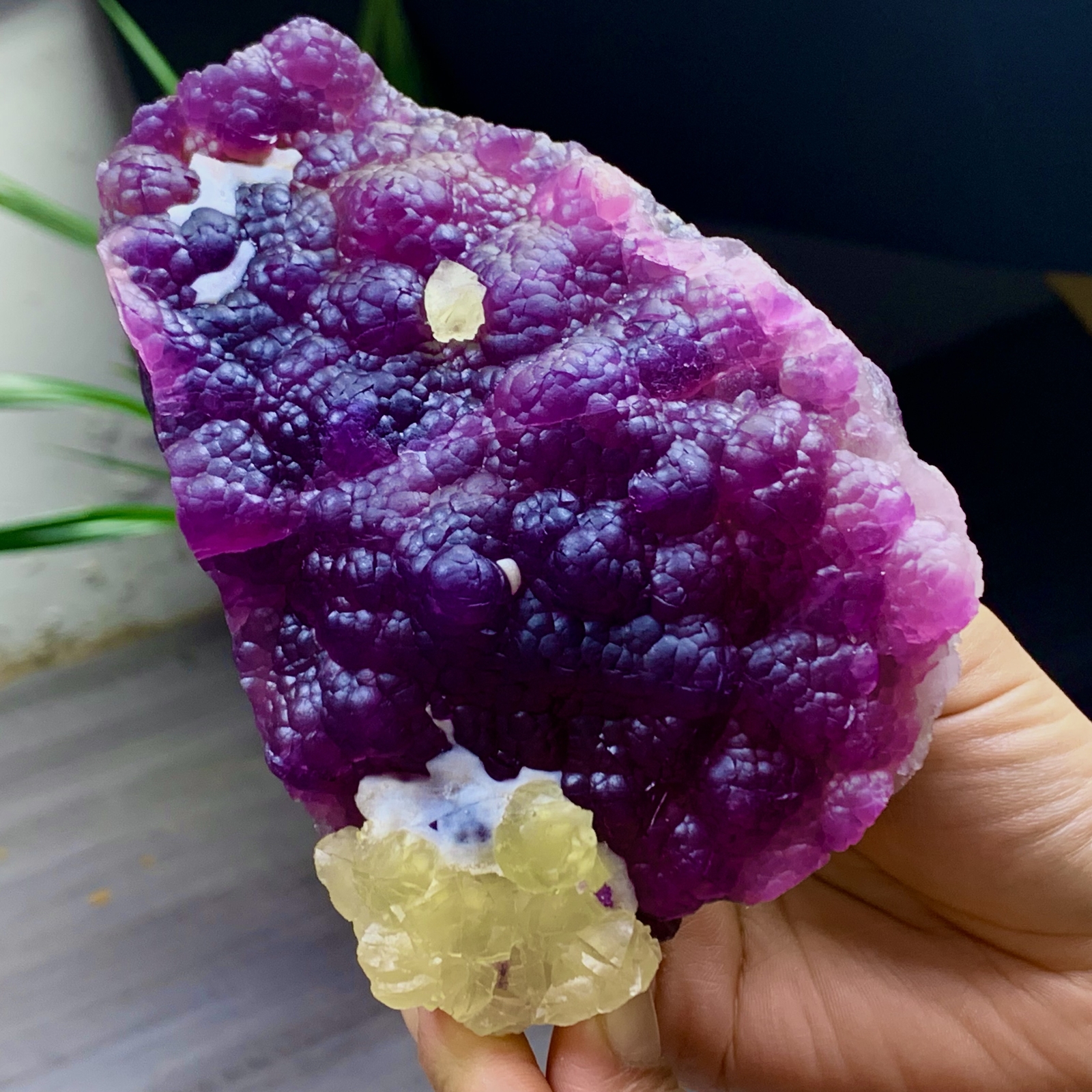 2.40LB Complete rare and gorgeous purple fluorite from Inner Mongolia, China