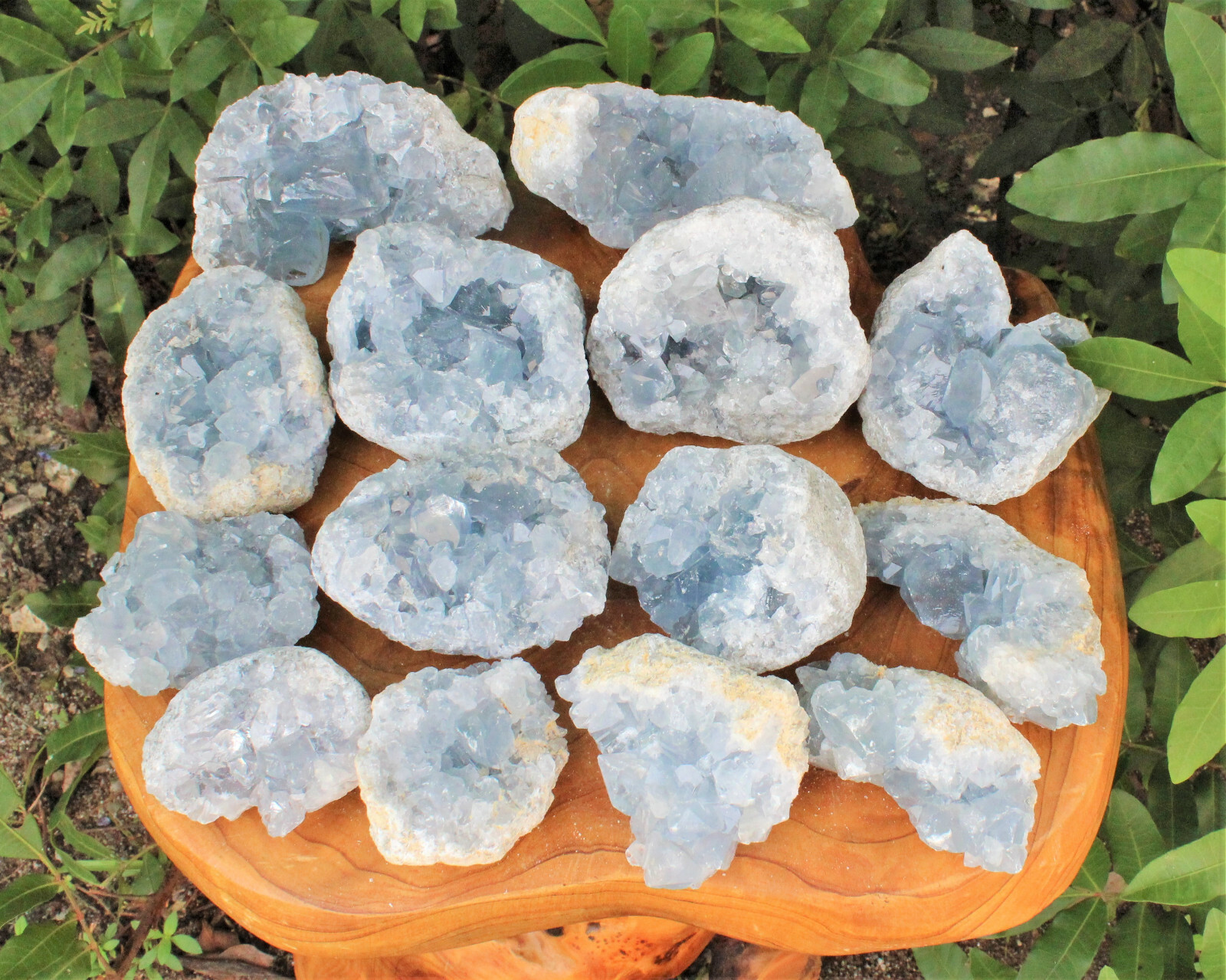 Celestite Crystal Cluster – High Quality Celestite Geodes (Blue Celestite Druze)