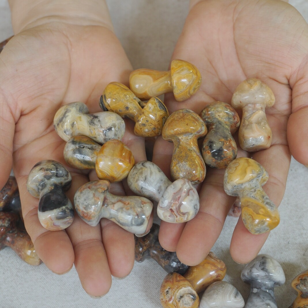 1Kg 50 Natural Crazy Agate Carnelian Crystal Mushroom Carving Palm Healing 35mm