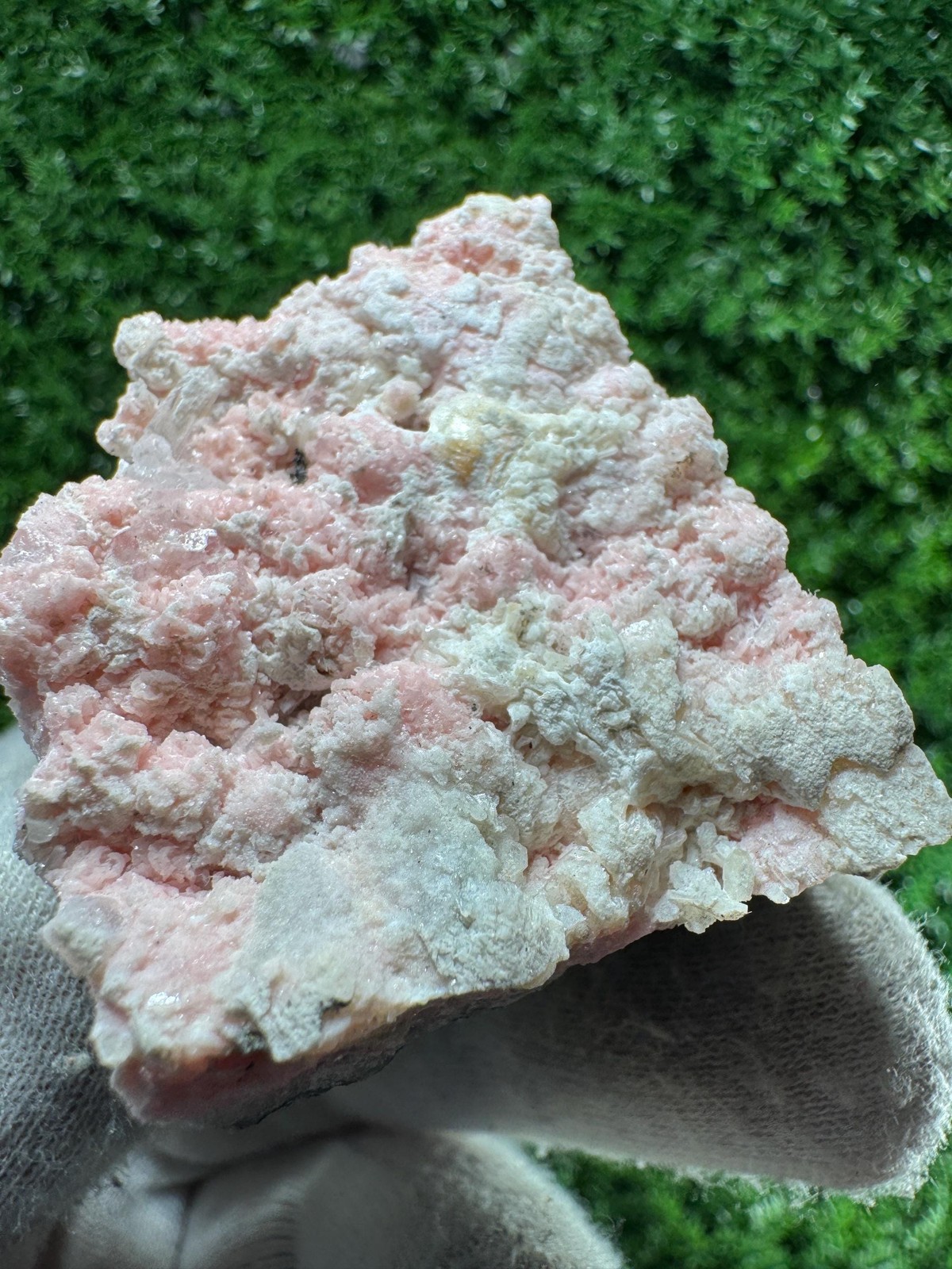 Solid! LOVELY PINK Rhodochrosite from DEPLETED mine / N498