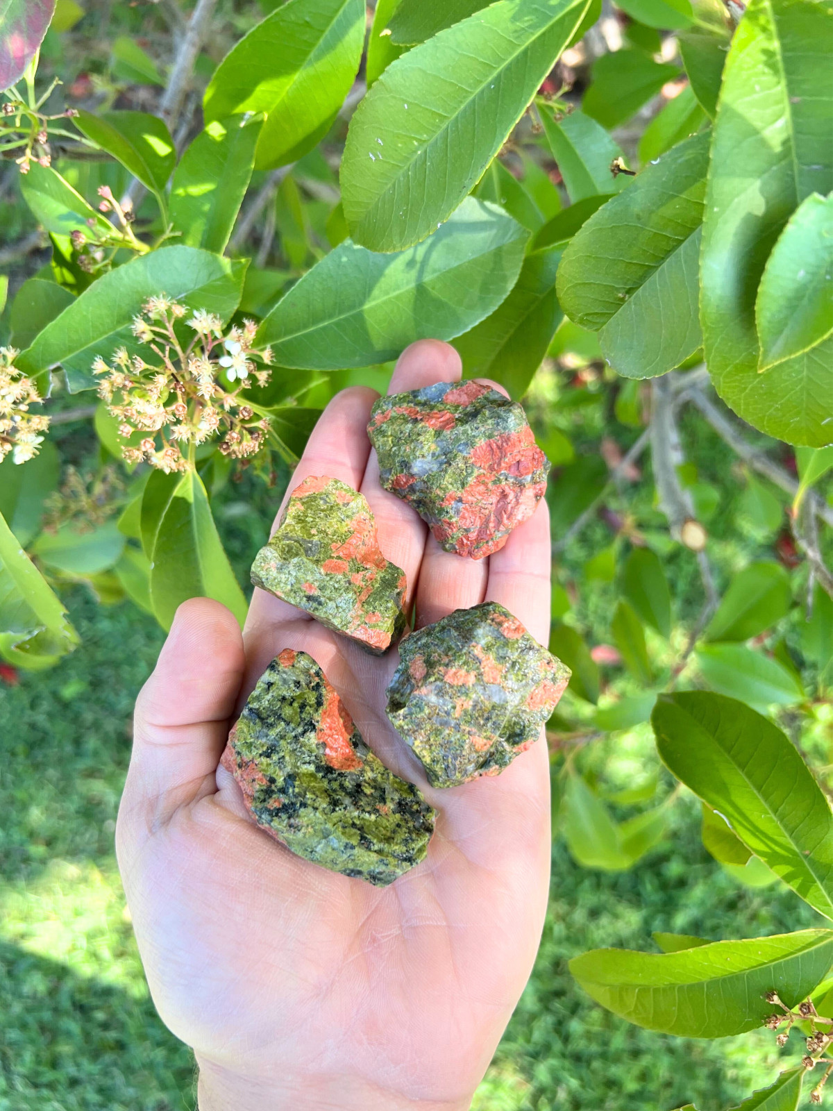 Unakite – Rough Rocks for Tumbling – Bulk Wholesale 1LB options