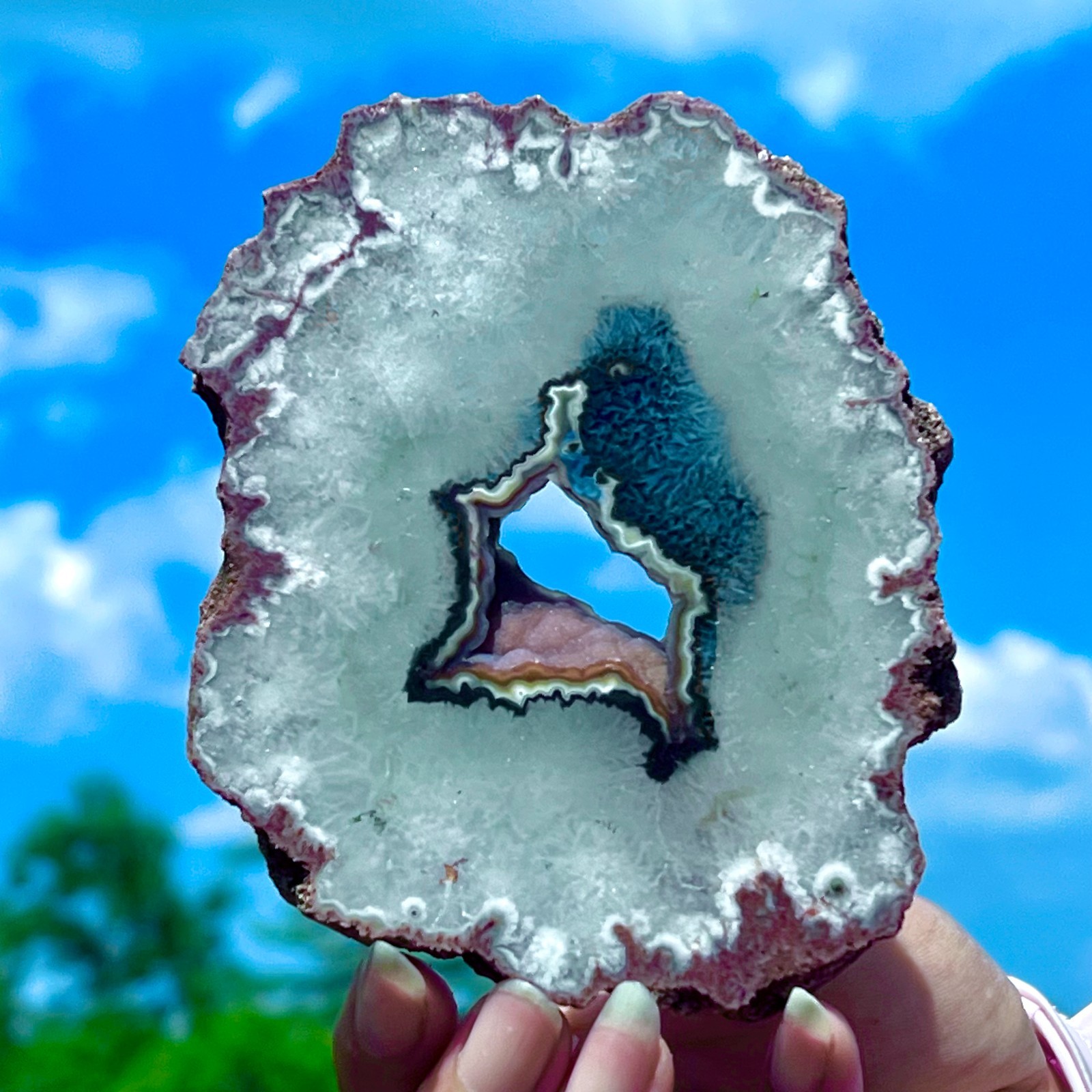 212G Natural Colorful Lace Agate Geode Slice Extra Large Gem From Argentina