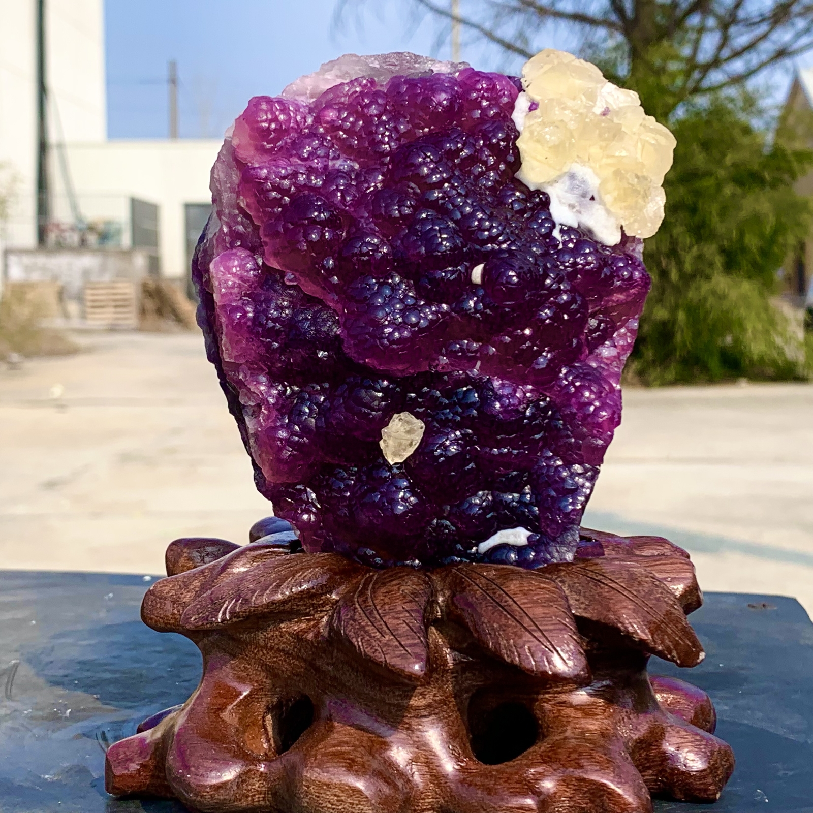 2.40LB Complete rare and gorgeous purple fluorite from Inner Mongolia, China