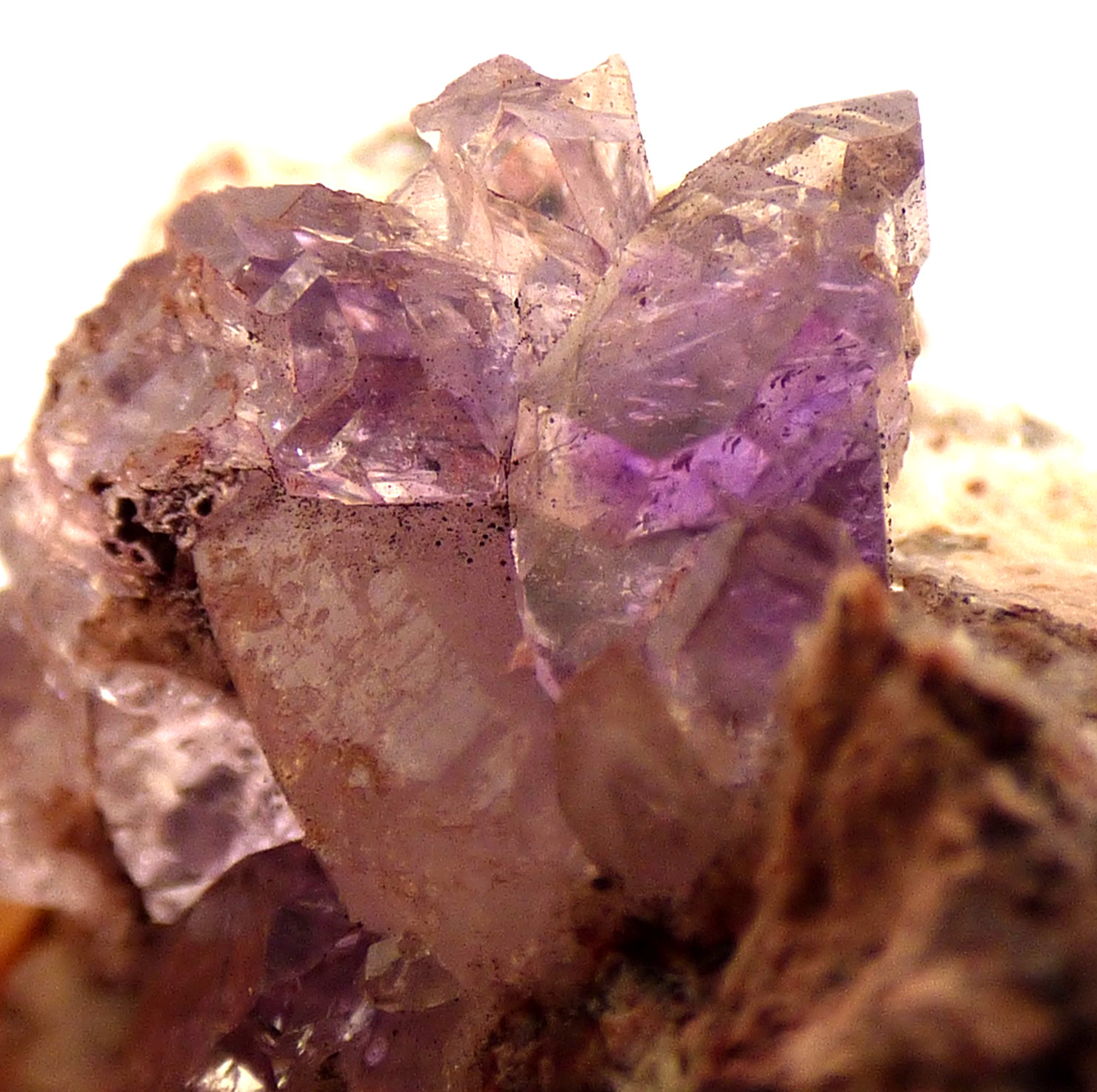 Amethyst Quartz Crystals Sonoran Desert Mexico Mineral Specimen 3.5cm