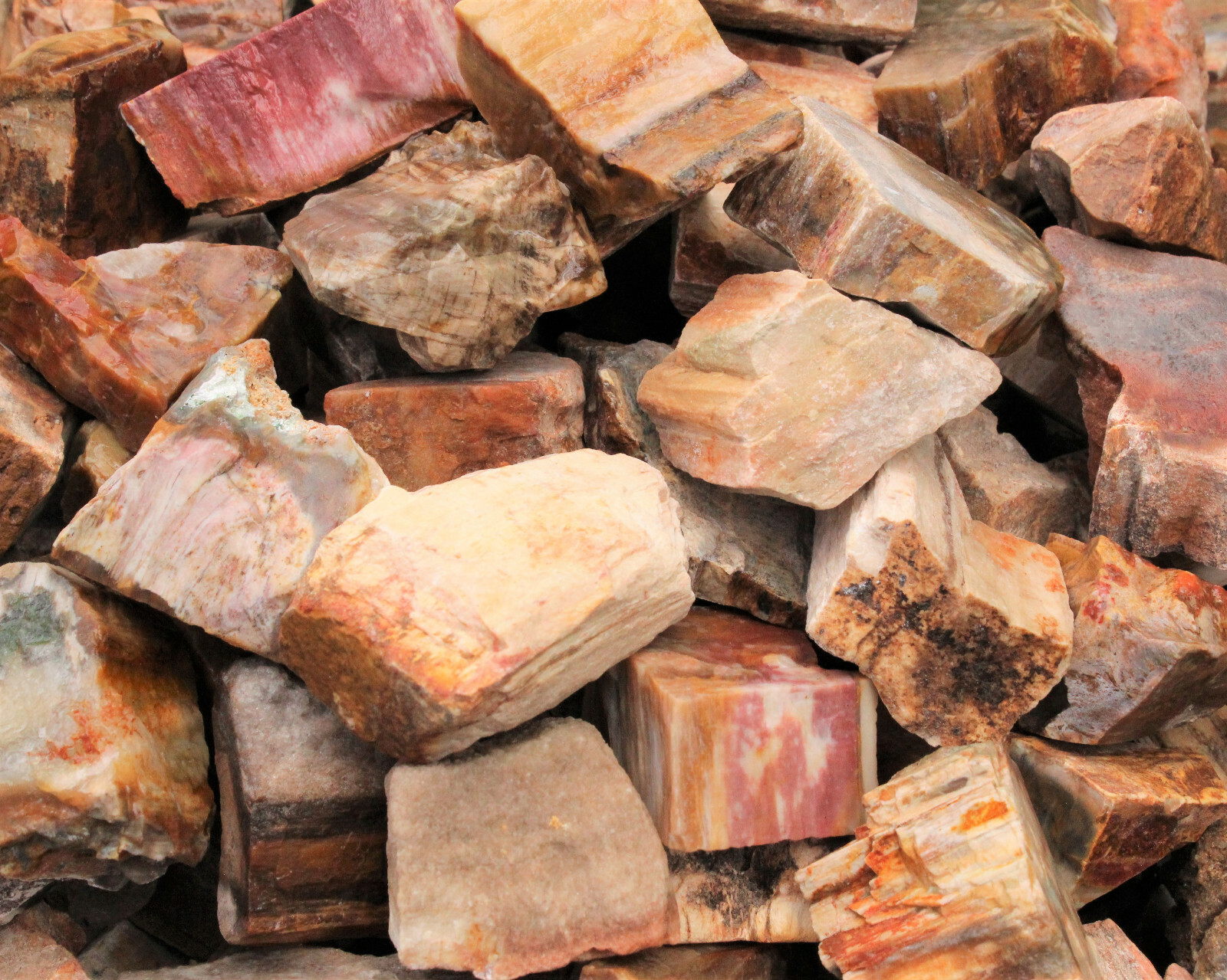 1/4 lb Petrified Wood Rough Natural Stones Bulk Wholesale Raw 4 oz