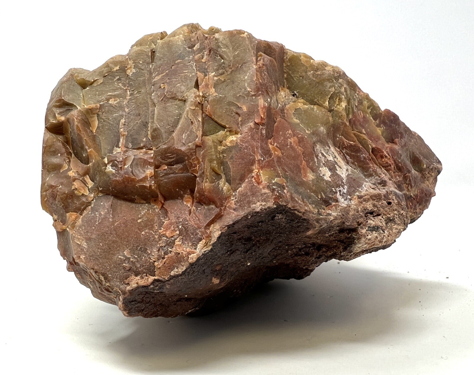 Loose Natural Stone – United States: Raw Petrified Wood RARE Agatized 4lb 4oz