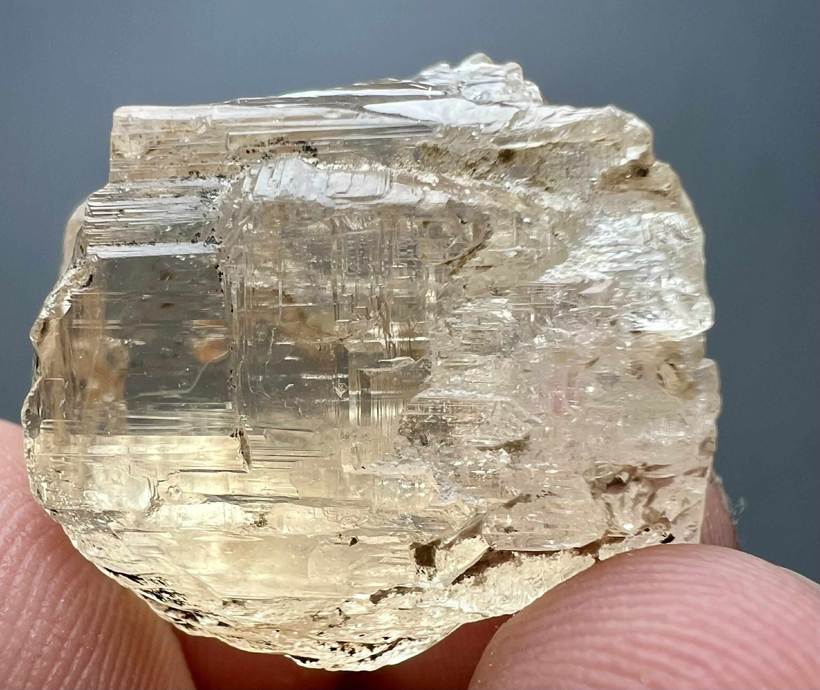118 Carat Natural !!! Eye Clean Top Honey Color Topaz Huge Crystal @PAK