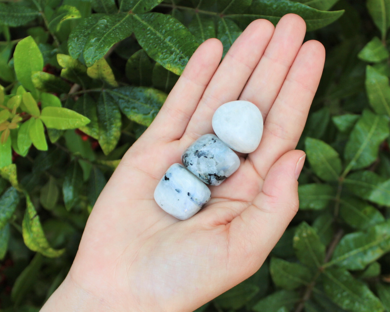 3 x Medium / Large Rainbow Moonstone Tumbled Stones (Crystal Healing Reiki)