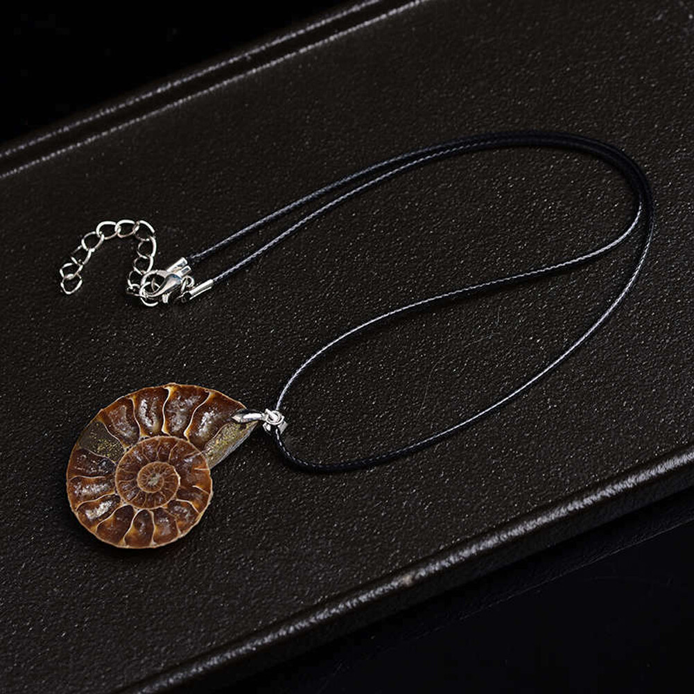5PCS Natural Conch Fossil Quartz Crystal Pendant healing Mineral Necklace Decor