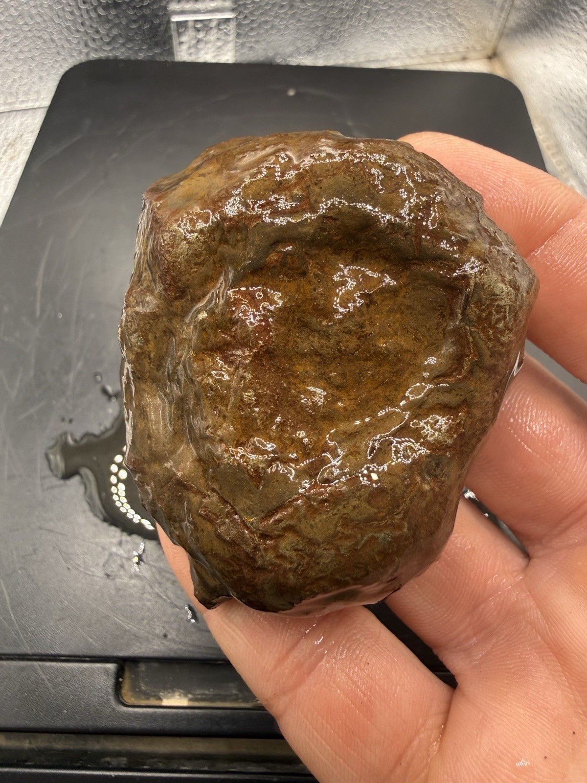 Pyrite Marcasite Chalcopyrite Nodule Indiana 220 Grams Fossil Metallic Crystal