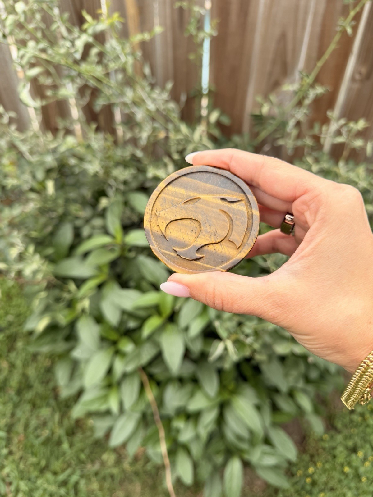 Tigers eye thunder cats coin with  free stand