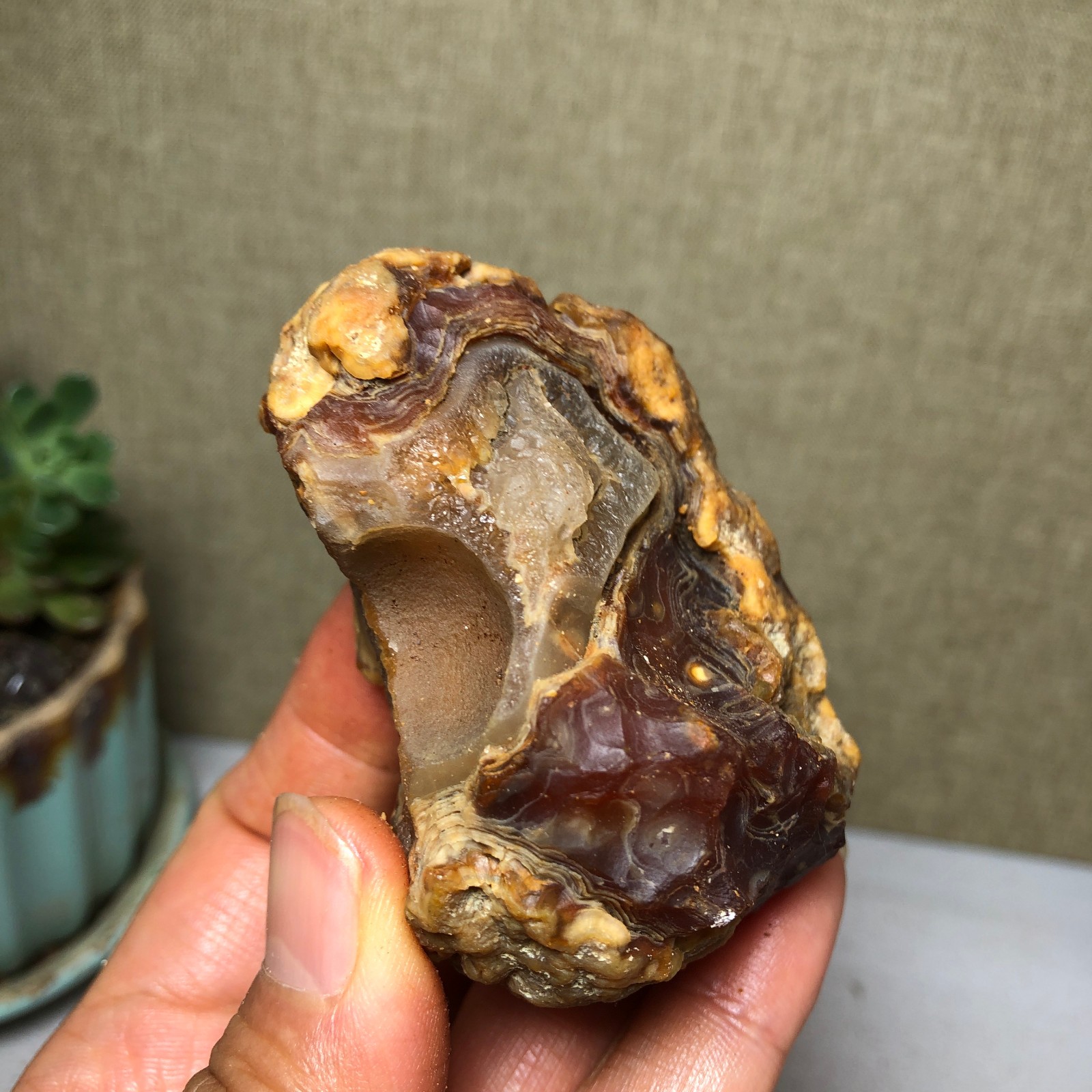 146g natural Bonsai Suiseki Gobi Agate Eyes Stone-Stunning original View A4619
