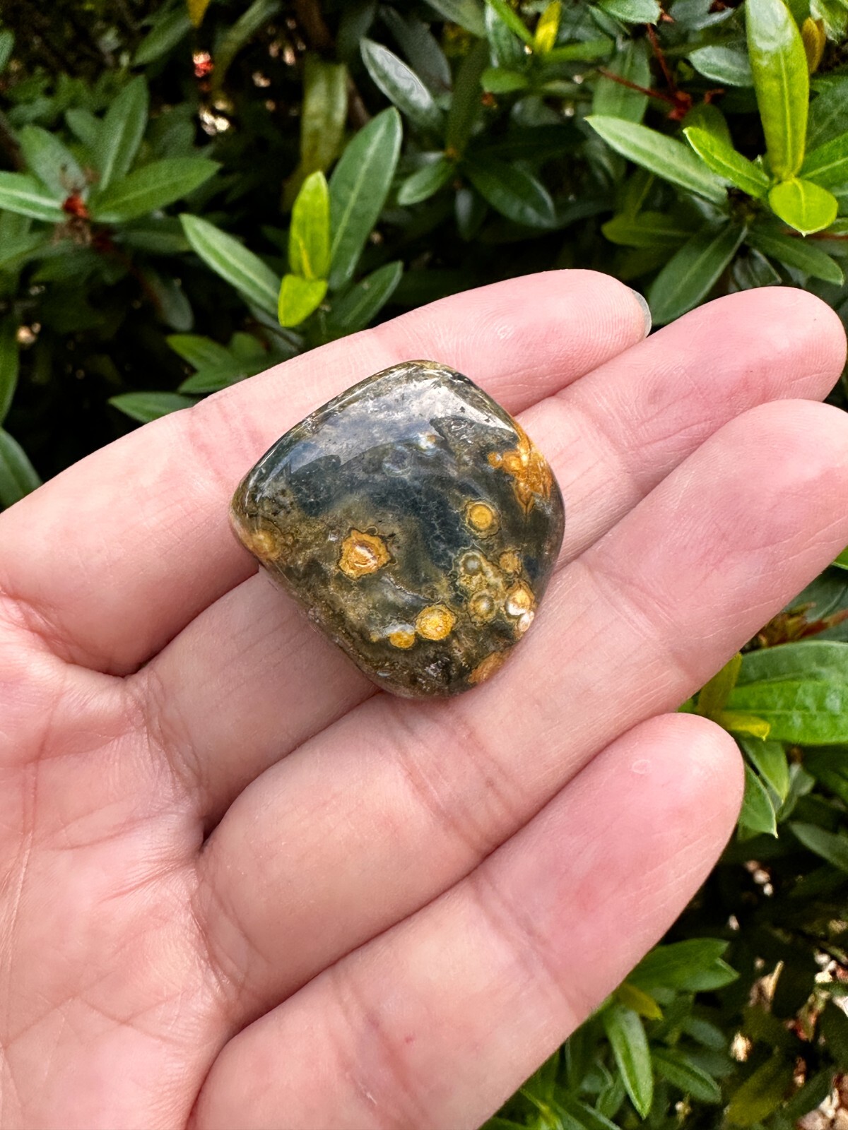 Grade A++ Ocean Jasper Tumbled Stones, 0.75-1 inch Sea Jasper Stones, Bulk Lot